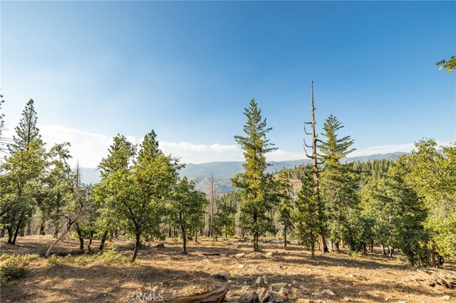 7373 Henness Ridge Rd, Yosemite, CA 95389