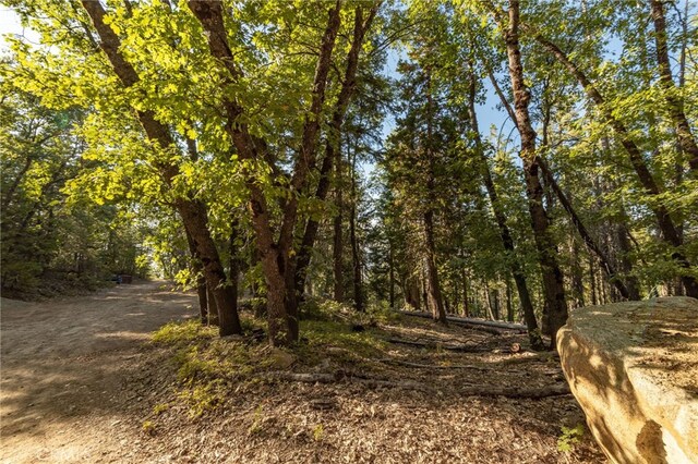 7373 Henness Ridge Rd, Yosemite, CA 95389