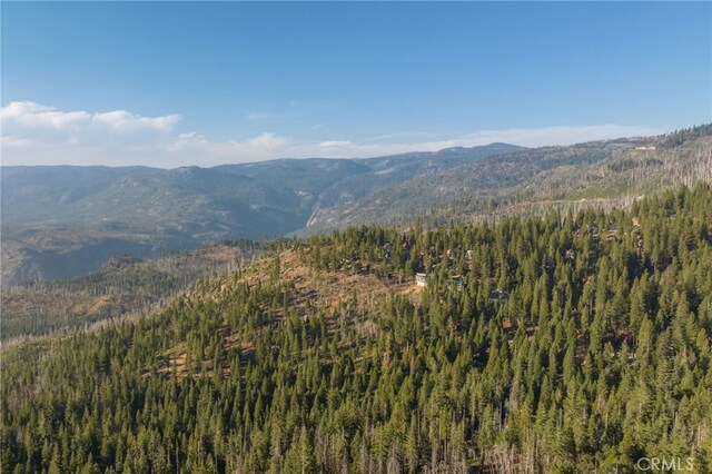 7373 Henness Ridge Rd, Yosemite, CA 95389