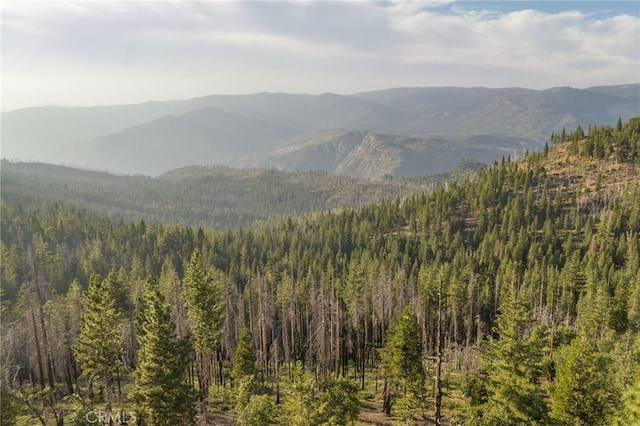 7373 Henness Ridge Rd, Yosemite, CA 95389