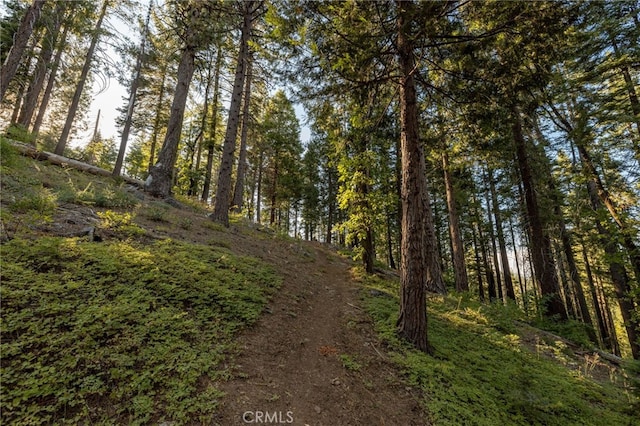 7373 Henness Ridge Rd, Yosemite, CA 95389