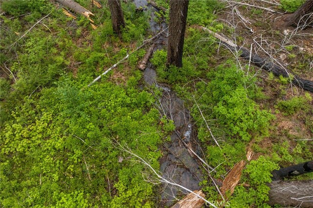 7373 Henness Ridge Rd, Yosemite, CA 95389