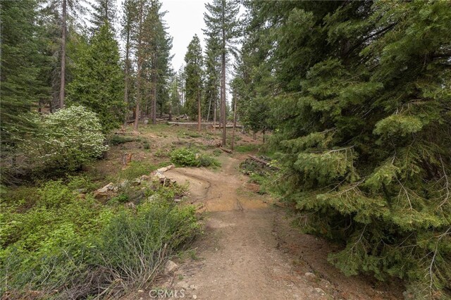7373 Henness Ridge Rd, Yosemite, CA 95389