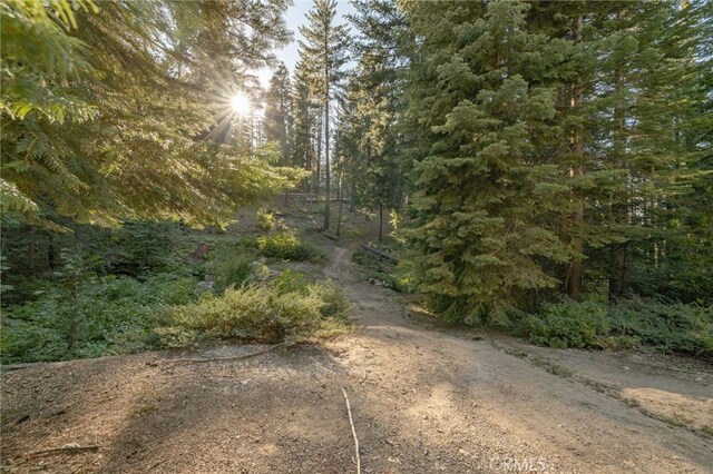 7373 Henness Ridge Rd, Yosemite, CA 95389