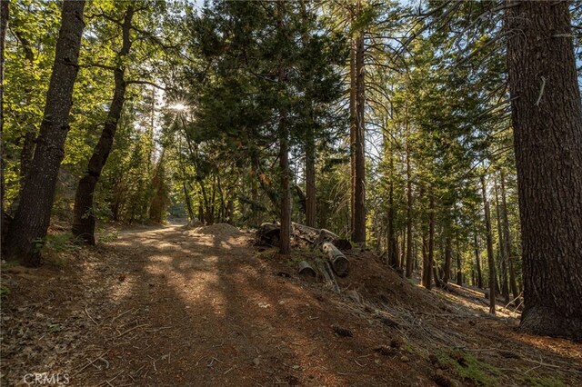7373 Henness Ridge Rd, Yosemite, CA 95389