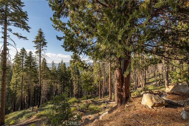 7373 Henness Ridge Rd, Yosemite, CA 95389