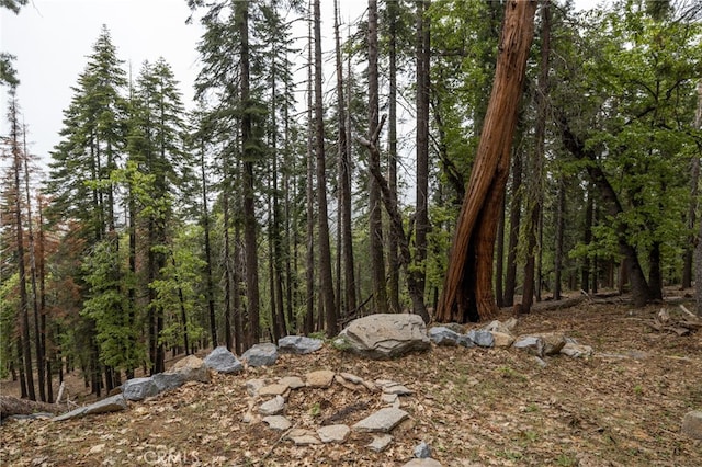 7373 Henness Ridge Rd, Yosemite, CA 95389