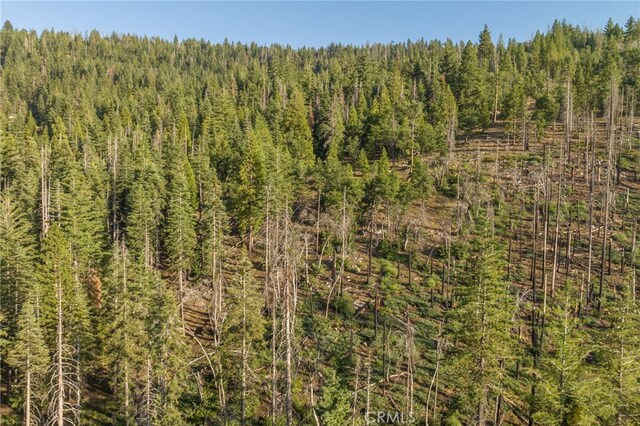 7373 Henness Ridge Rd, Yosemite, CA 95389