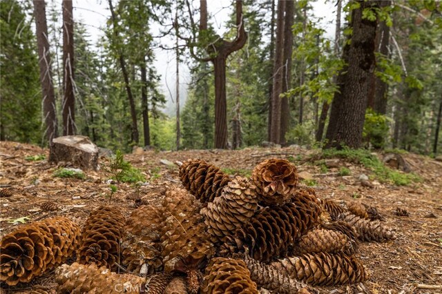 7373 Henness Ridge Rd, Yosemite, CA 95389