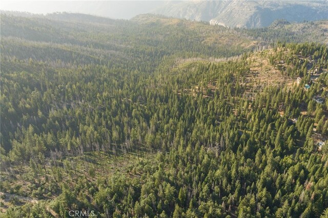 7373 Henness Ridge Rd, Yosemite, CA 95389