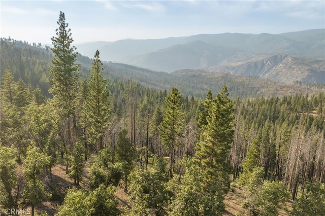 7373 Henness Ridge Rd, Yosemite, CA 95389