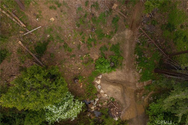 7373 Henness Ridge Rd, Yosemite, CA 95389