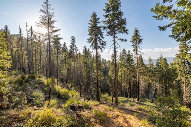 7373 Henness Ridge Rd, Yosemite, CA 95389