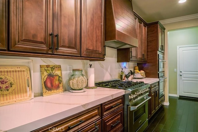 kitchen with crown molding, light stone countertops, premium range hood, baseboards, and high end stainless steel range oven