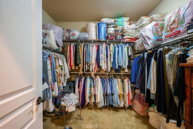 walk in closet featuring carpet flooring