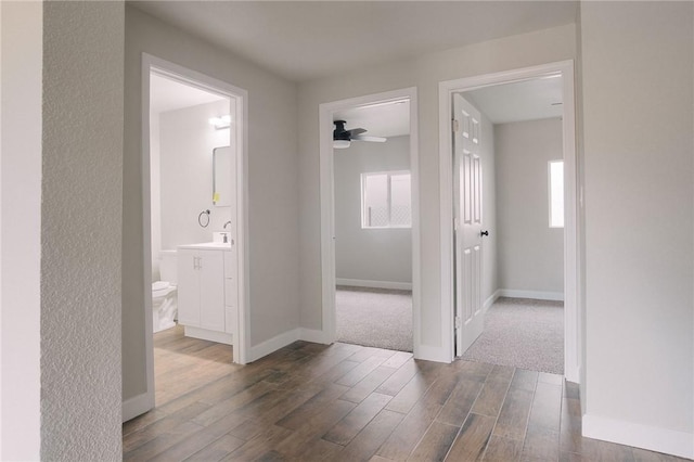 hall featuring a wealth of natural light, baseboards, and dark wood finished floors