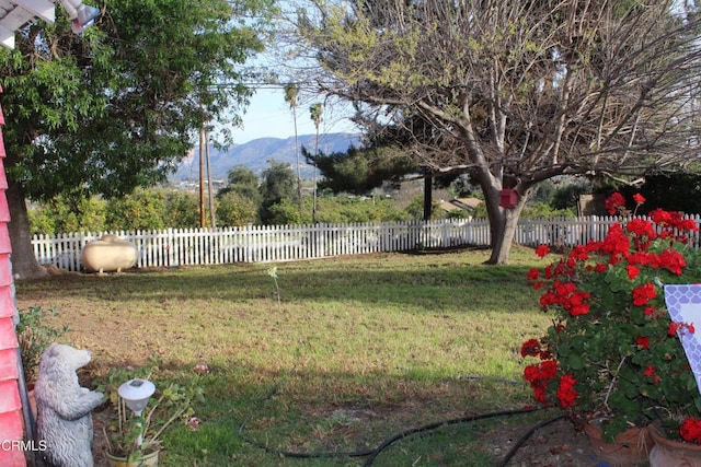 1173 Cliff Ave, Fillmore, CA 93015 - photo 31