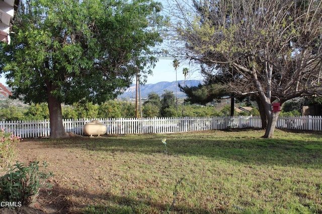 1173 Cliff Ave, Fillmore, CA 93015 - photo 8