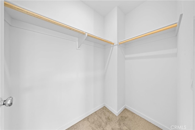 walk in closet with carpet