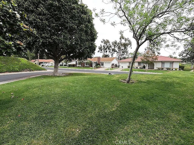 28132 Via Congora, Mission Viejo, CA 92692 - view of yard