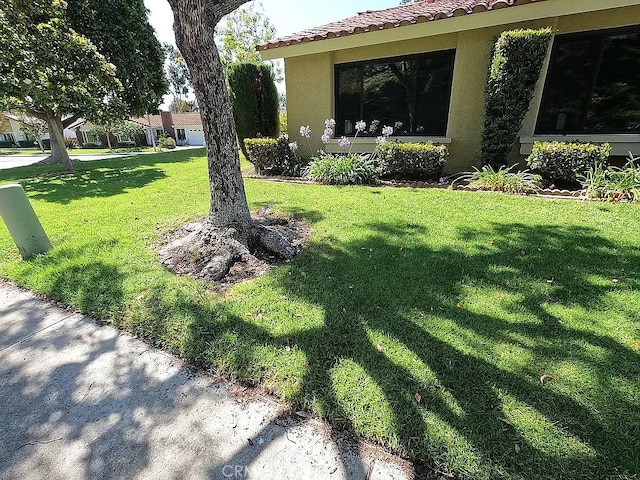 28132 Via Congora, Mission Viejo, CA 92692 - view of yard