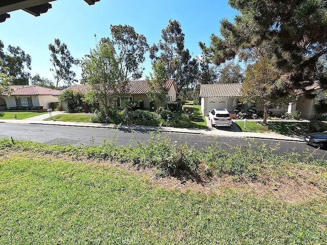 28132 Via Congora, Mission Viejo, CA 92692 - view of yard