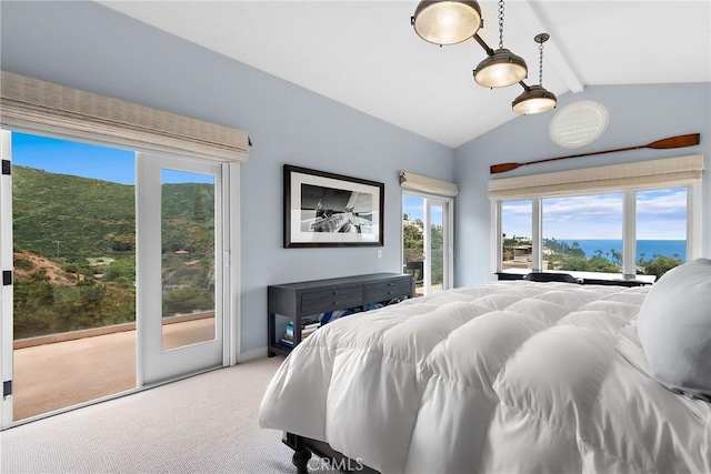 21732 Wesley Dr Unit 6, Laguna Beach, CA 92651 - bedroom with access to outside, multiple windows, and light carpet