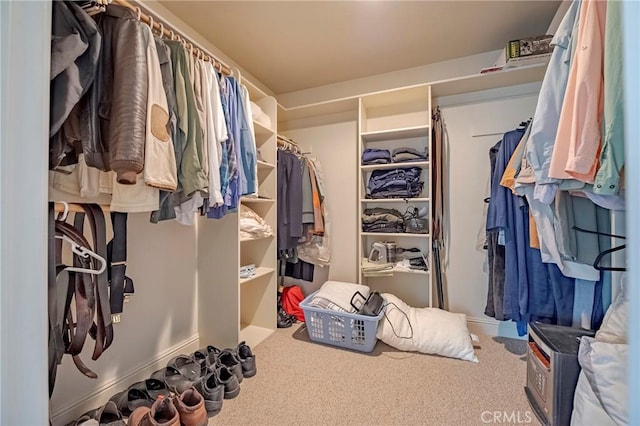 spacious closet featuring carpet flooring