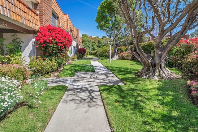 view of property's community featuring a yard