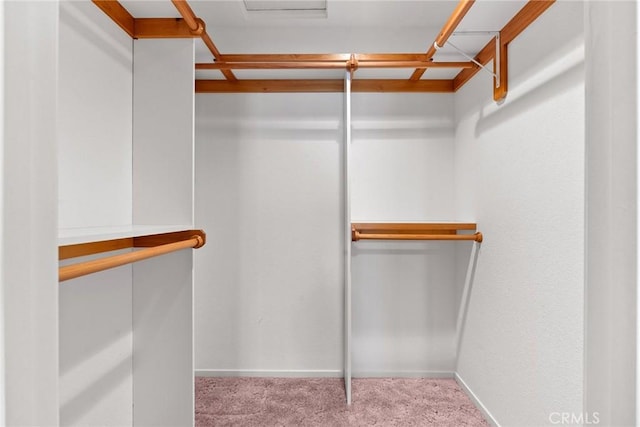 walk in closet featuring carpet floors