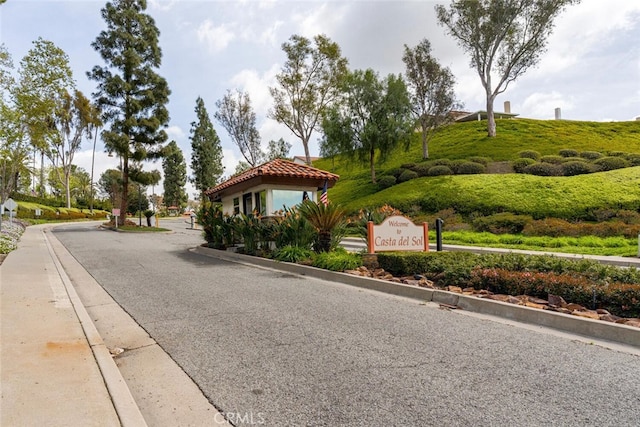 view of street with curbs