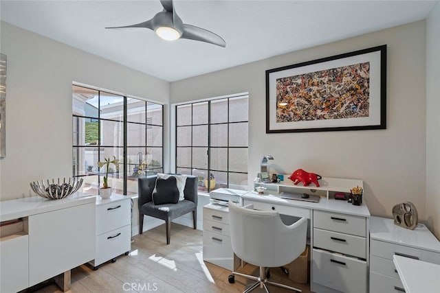 office featuring a ceiling fan and light wood finished floors