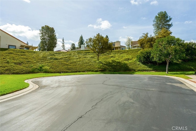 view of street with curbs