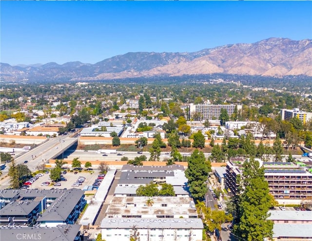 265 N Oakland Ave, Pasadena, CA 91101 - photo 50