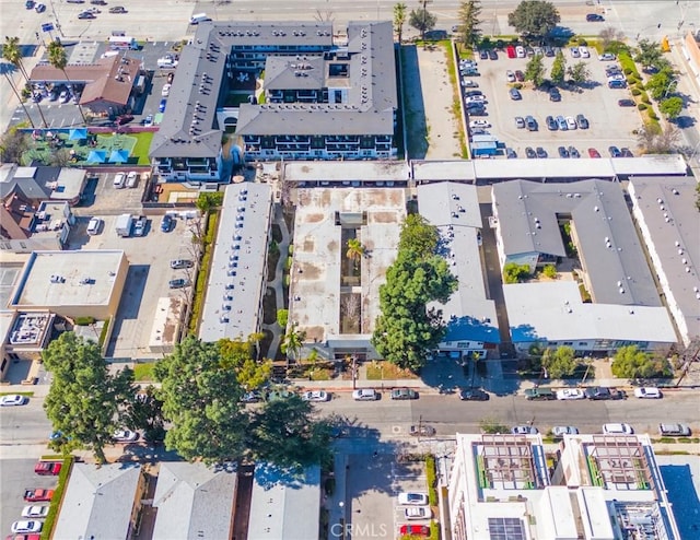 bird's eye view