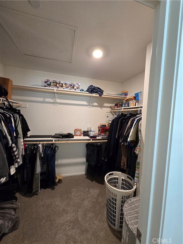 spacious closet featuring carpet floors