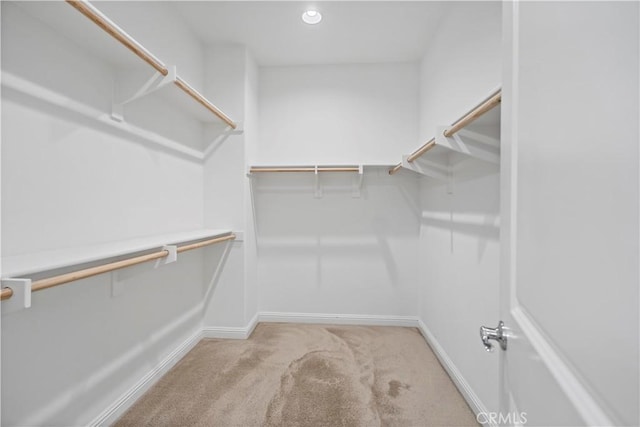 spacious closet featuring carpet