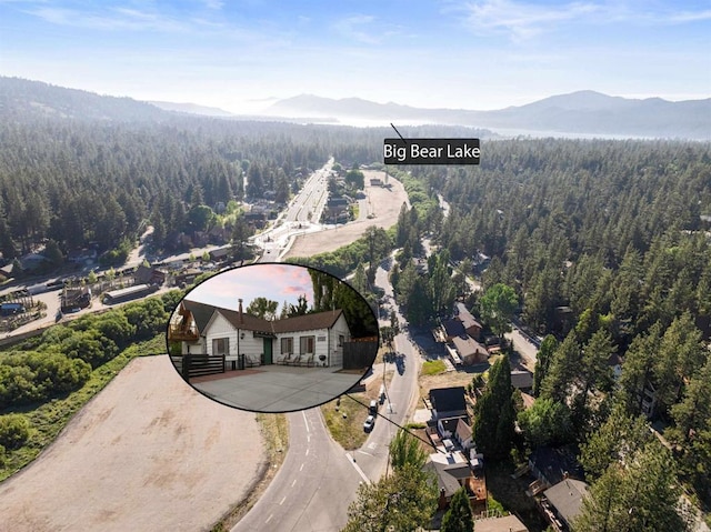 42888 Sonoma Dr, Big Bear Lake, CA 92315 - photo 10