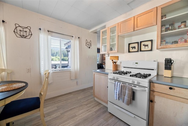 42888 Sonoma Dr, Big Bear Lake, CA 92315 - photo 18