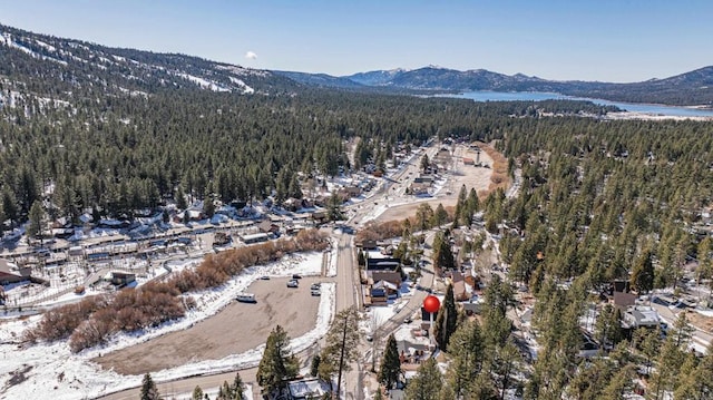 42888 Sonoma Dr, Big Bear Lake, CA 92315 - photo 11