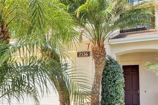 view of exterior entry featuring stucco siding