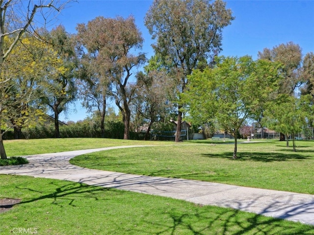 49 Country Ln, Rolling Hills Estates, CA 90274 - surrounding community featuring a yard