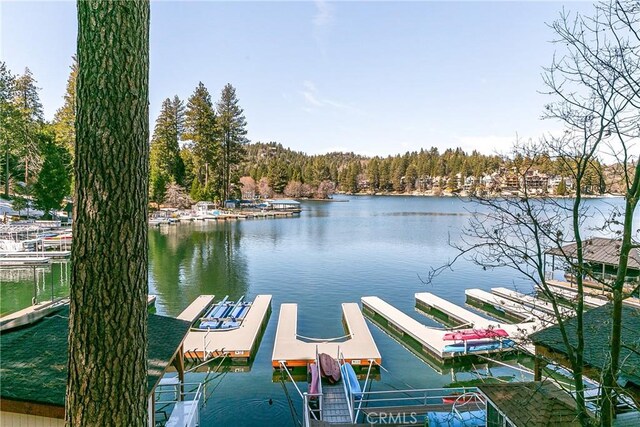 342 Lake Resort Rd, Lake Arrowhead, CA 92352 - photo 29