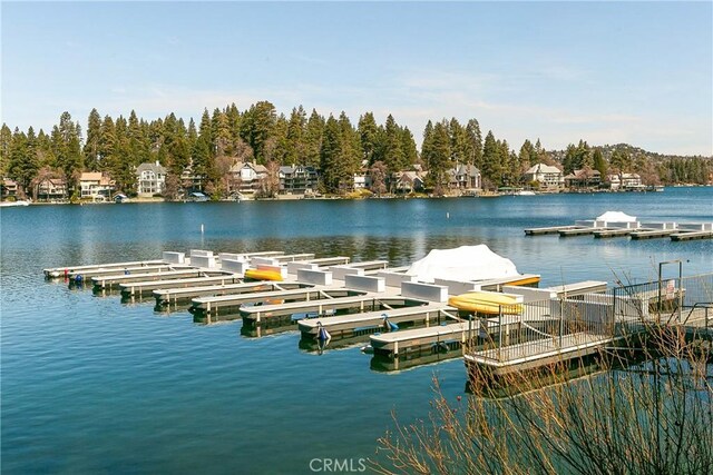 342 Lake Resort Rd, Lake Arrowhead, CA 92352 - photo 28