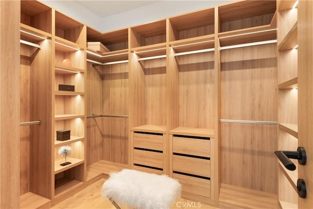 spacious closet with wood finished floors