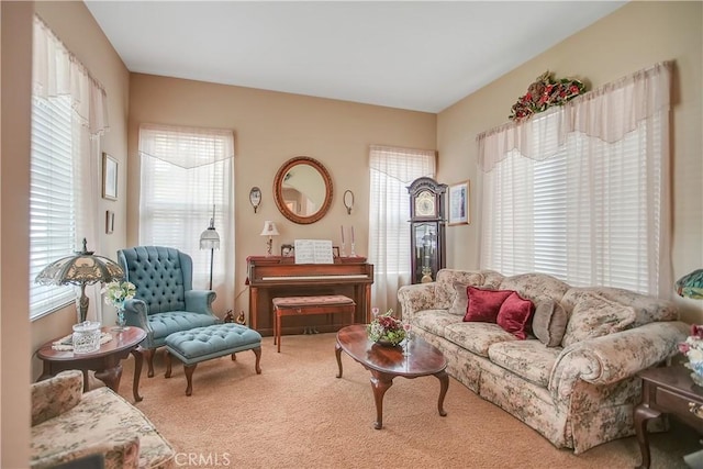 31973 Wildwood Ct, Temecula, CA 92592 - living area featuring carpet floors