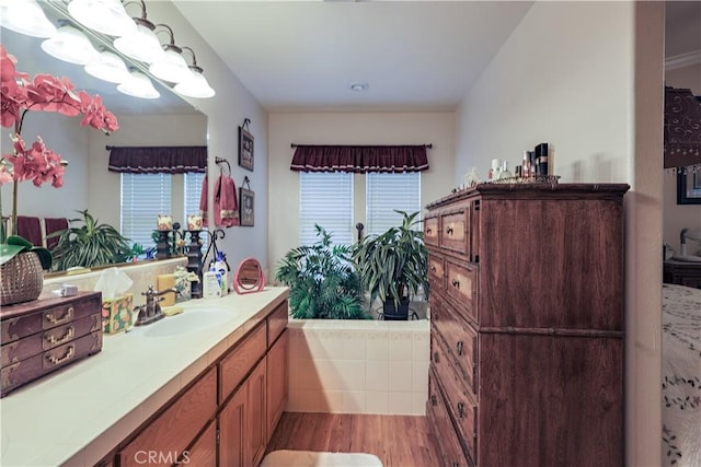 bathroom featuring vanity and wood finished floors