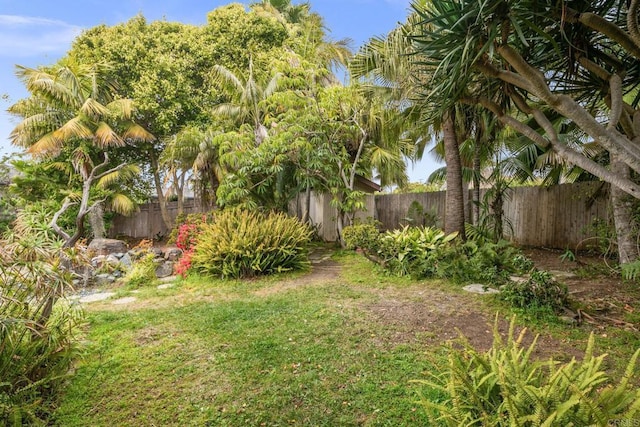 view of yard featuring a fenced backyard