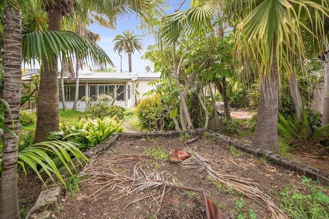 view of yard with a sunroom