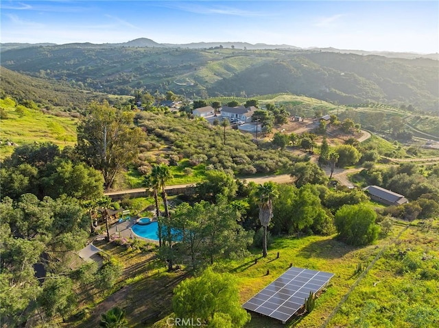 13306 Ricks Ranch Rd, Valley Center, CA 92082 - photo 39
